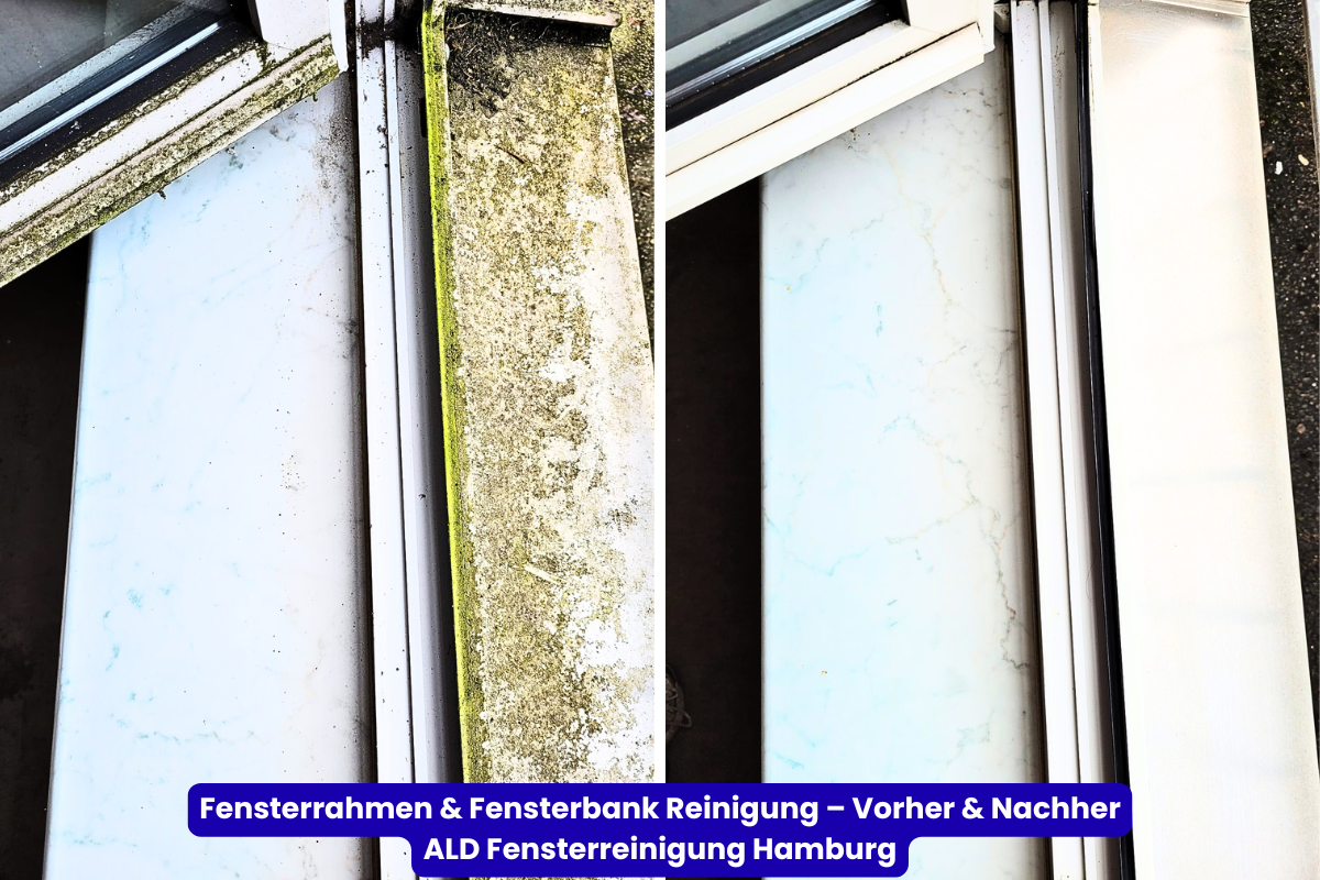 Fensterrahmen- und Fensterbankreinigung