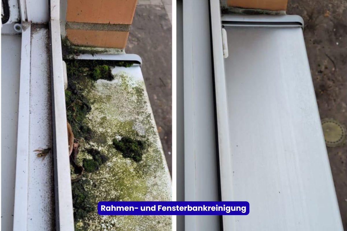 rahmen und fensterbankreinigung