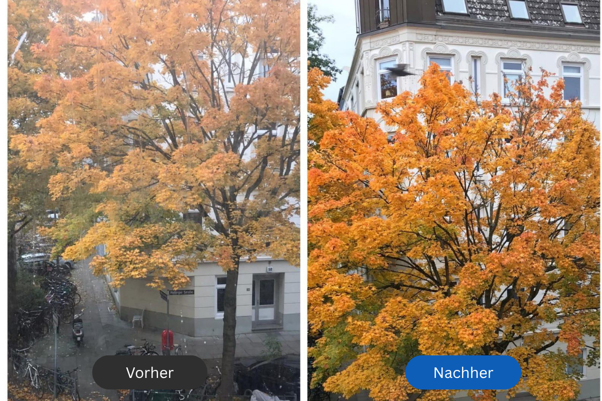 vorher nachher fensterreinigiung