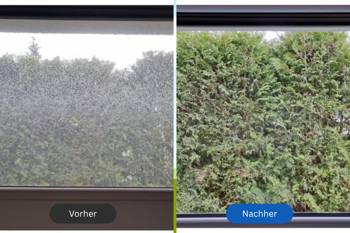 vorher nachher fensterreinigung