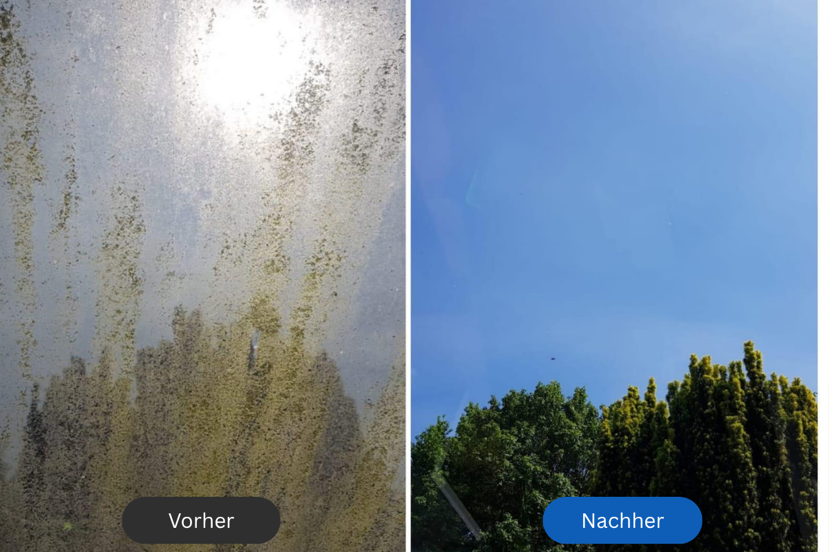 Terrassendachreinigung Vorher-Nachher