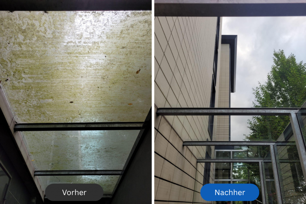 vorher nachher glasdach reinigen 4