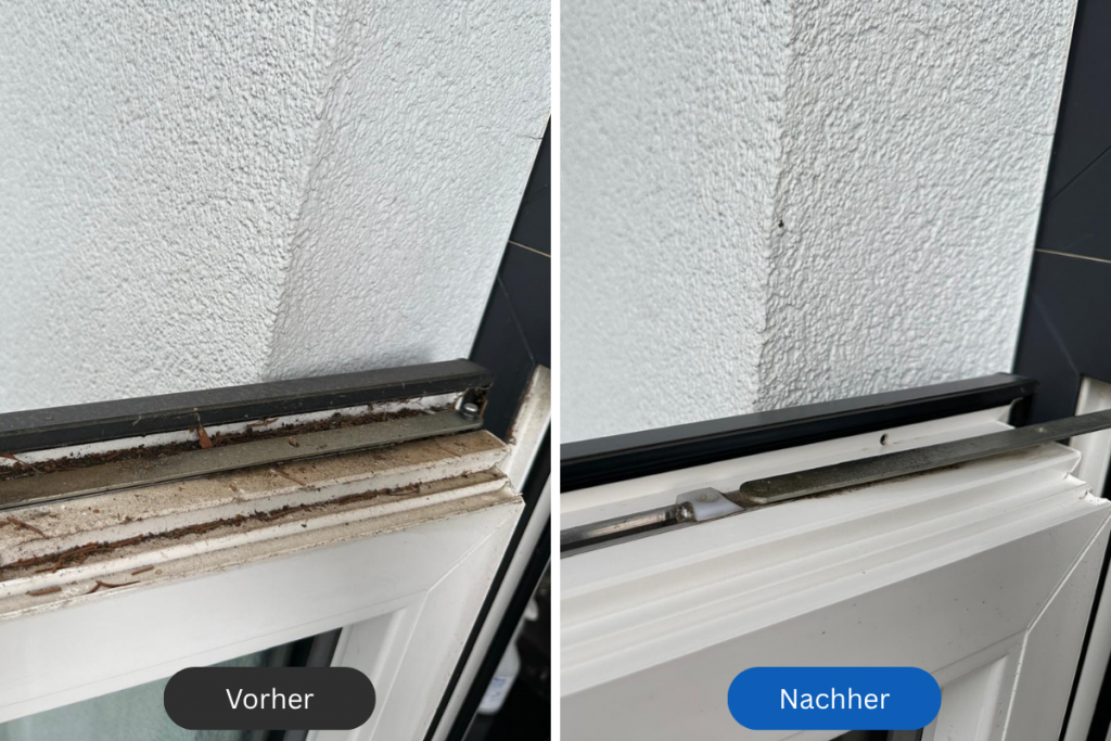 vorher nachher rahmenreinigung 1