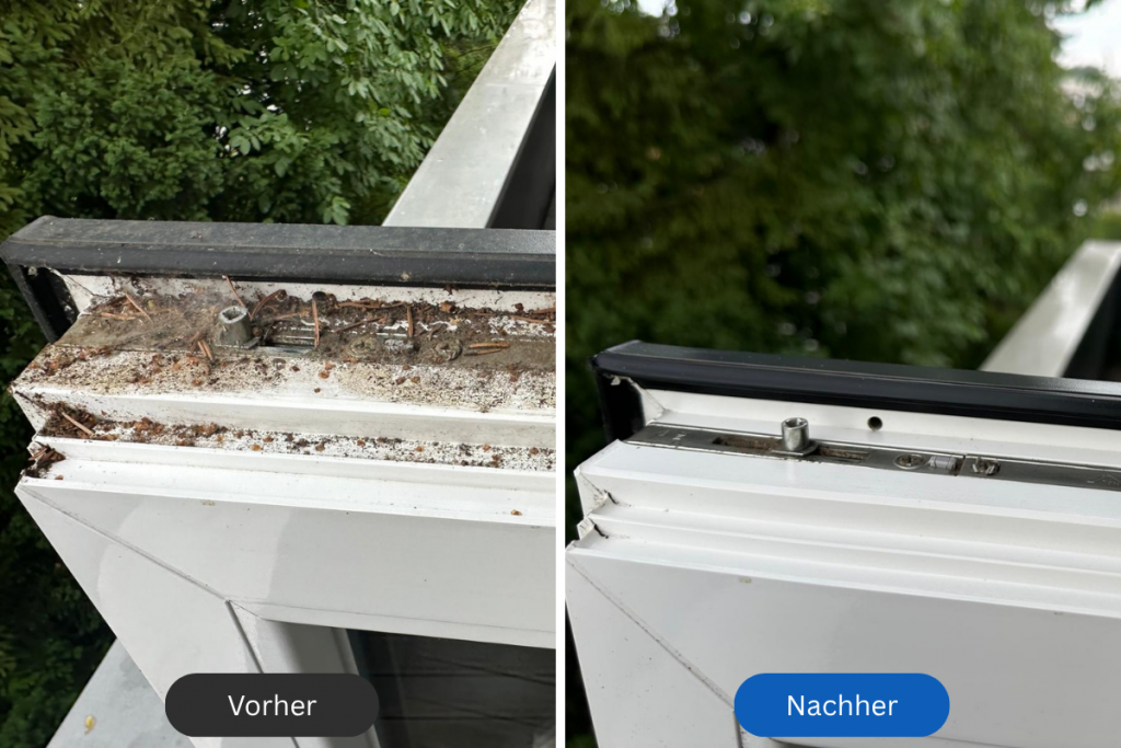 vorher nachher rahmenreinigung 2