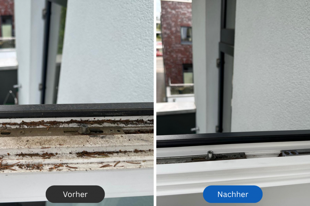 vorher nachher rahmenreinigung 3