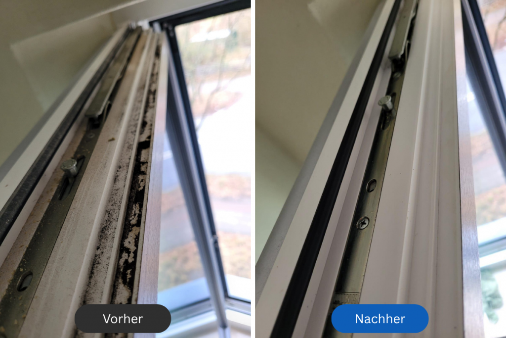vorher nachher rahmenreinigung 4