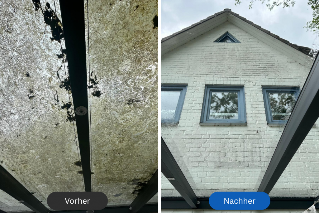 vorher nachher terrassendach reinigen